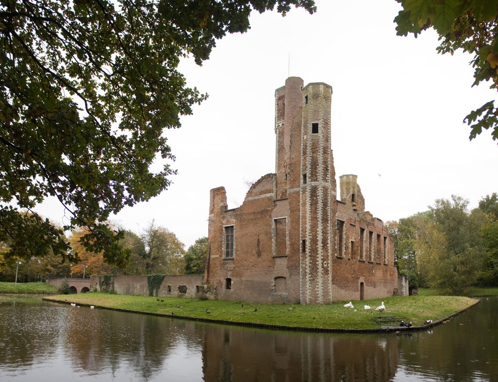 Foto van Kasteel Ter Elst